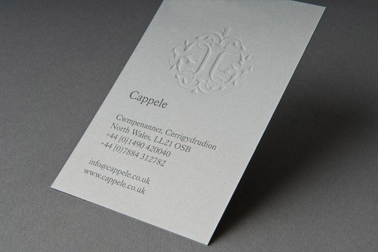 cool business card capelle2Cool Business Card   Capelle