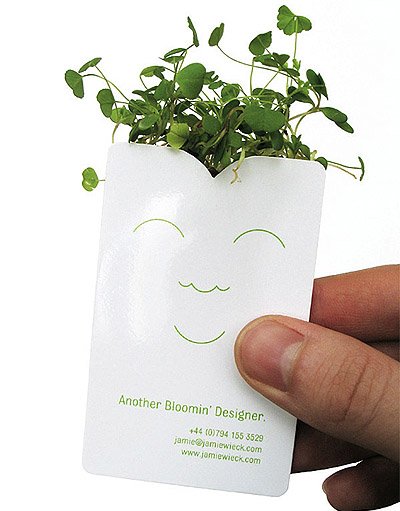 Unique Business Card - Jamie Wieck