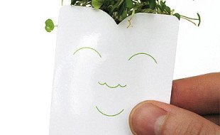 Unique Business Card - Jamie Wieck