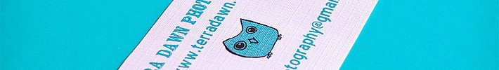 Cute Business Card - Terra Dawn