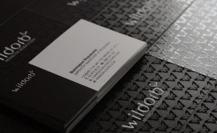 Cool Spot UV Business Card - WildOrb