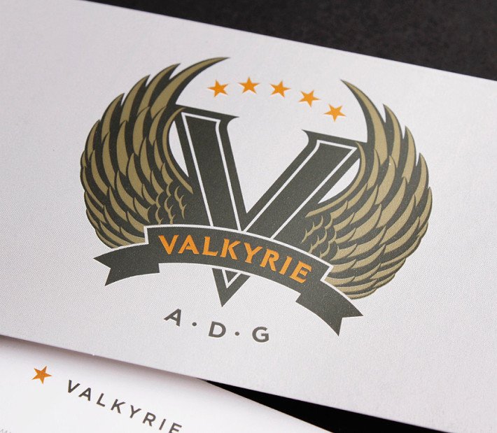 Cool Business Card - Valkyrie