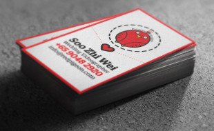 Cool Business Card - Red Pigeon Studio