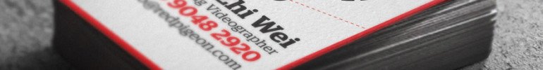Cool Business Card - Red Pigeon Studio