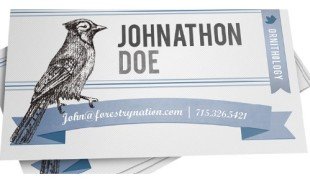 Blue Jay Business Cards - Printplace
