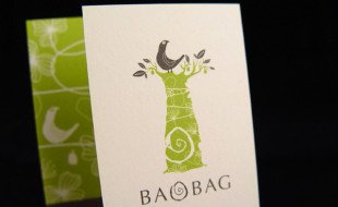 Creative Business Card - BaoBag