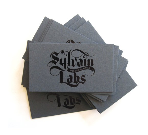 Cool Business Cards - Sylvain Labs