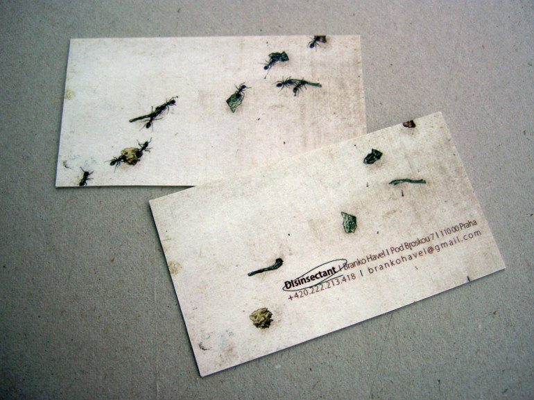 Creative Business Cards - Disinsectant - Ants
